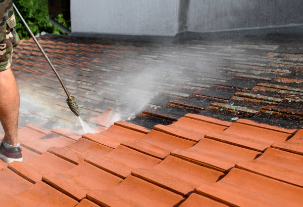 Best Garage Pressure Washing  in Cannon Falls, MN