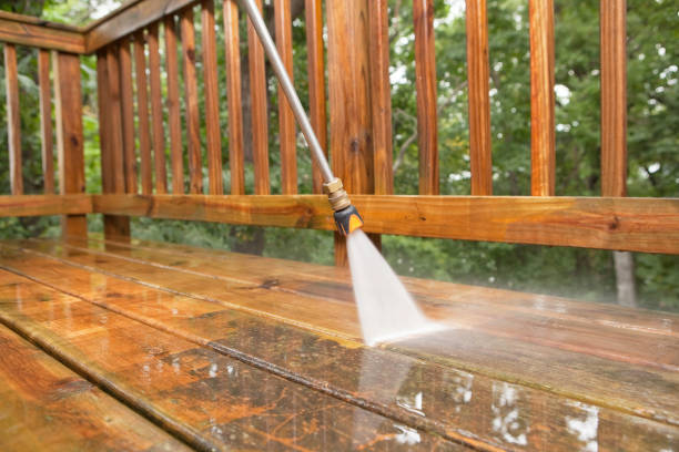 Pressure Washing Services for Businesses in Cannon Falls, MN