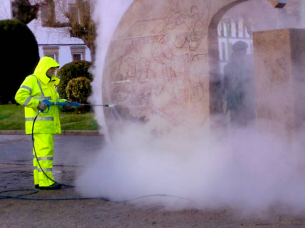 Best Residential Pressure Washing Services  in Cannon Falls, MN