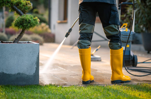 Best Fence Pressure Washing  in Cannon Falls, MN